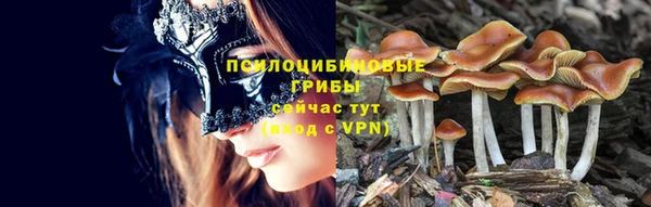 альфа пвп Коряжма