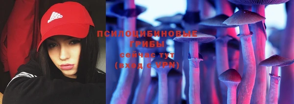 соль курить ск Алексеевка