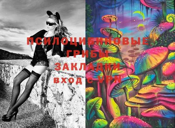 крисы Алзамай