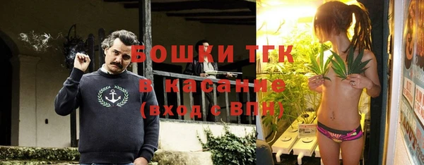 ГАЛЛЮЦИНОГЕННЫЕ ГРИБЫ Абаза