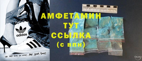 крисы Алзамай